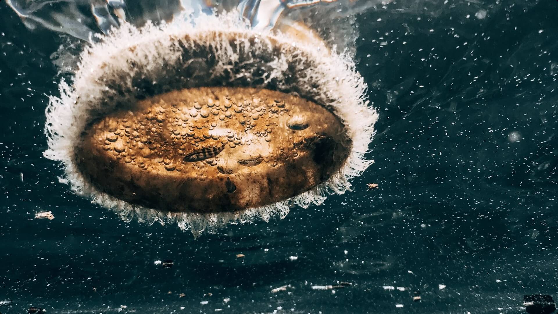 Next Background Image